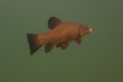 P8241299